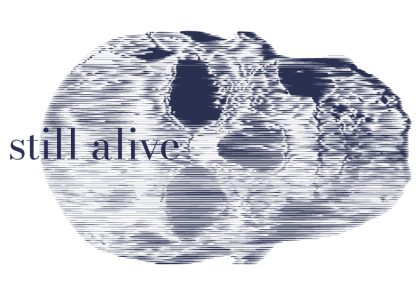 Still alive