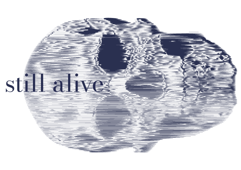 Sans-titre---4 Still alive