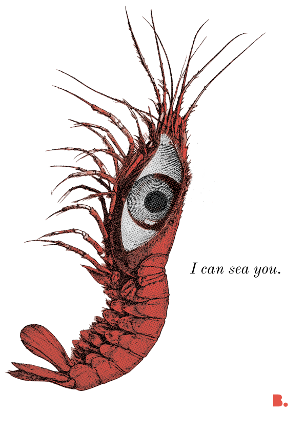 I can sea you