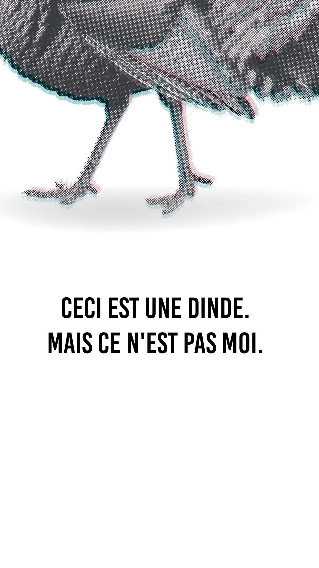 t-shirt-dinde-1080 Détail ceci est une dinde