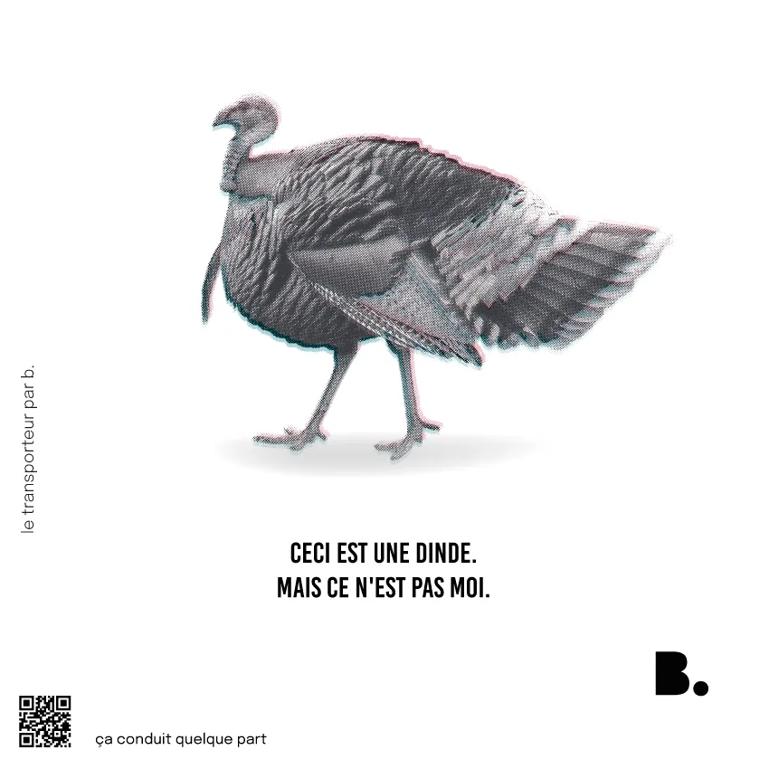 Totbag Ceci est une dinde Totebag Ceci est une dinde