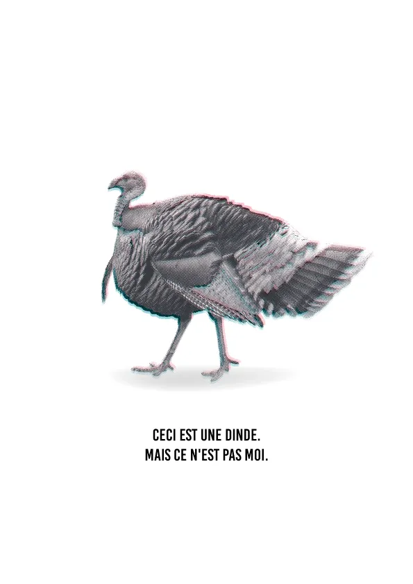 t-shirt-dinde Visuel Ceci est une dinde
