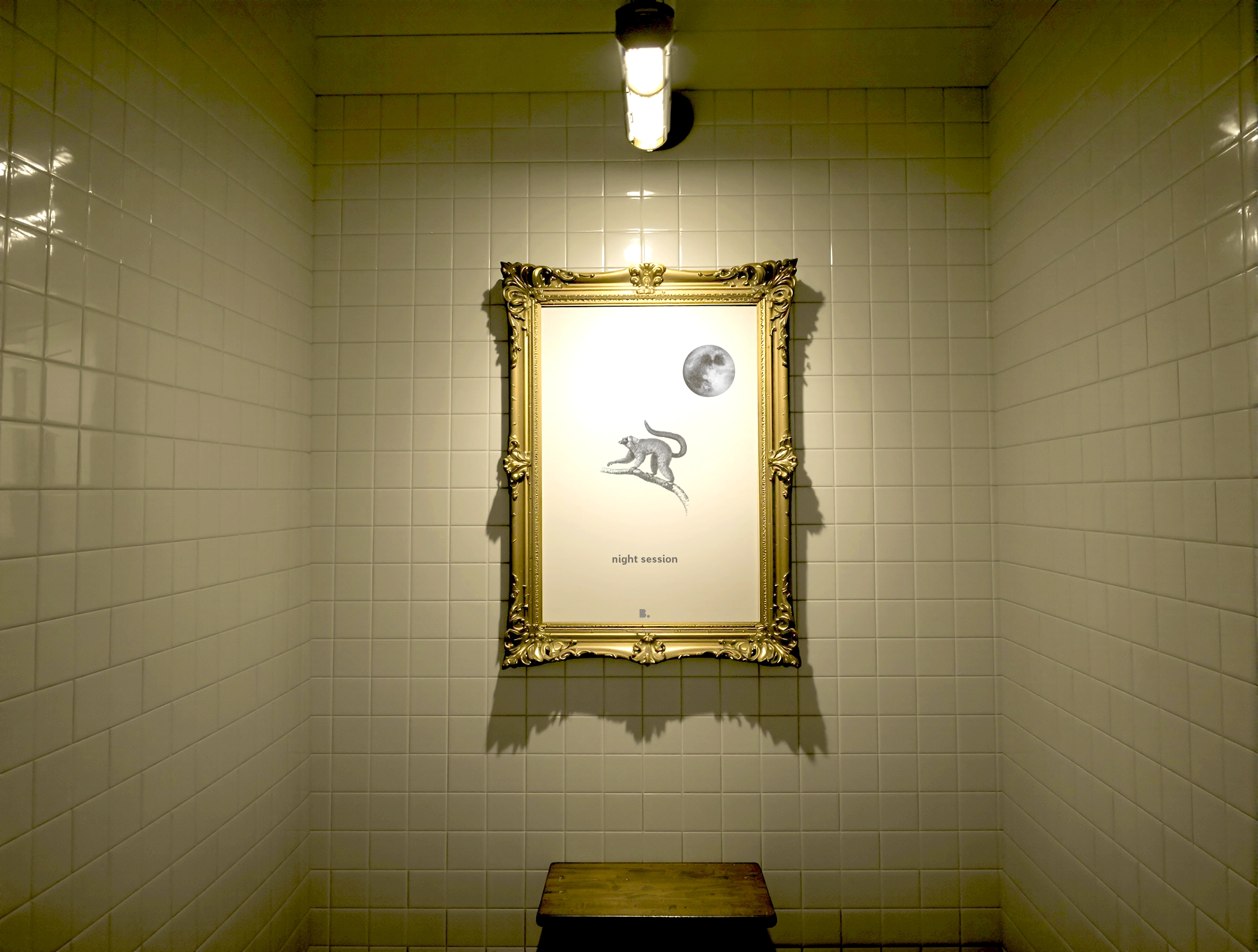 T-shirt Darwin en PLS