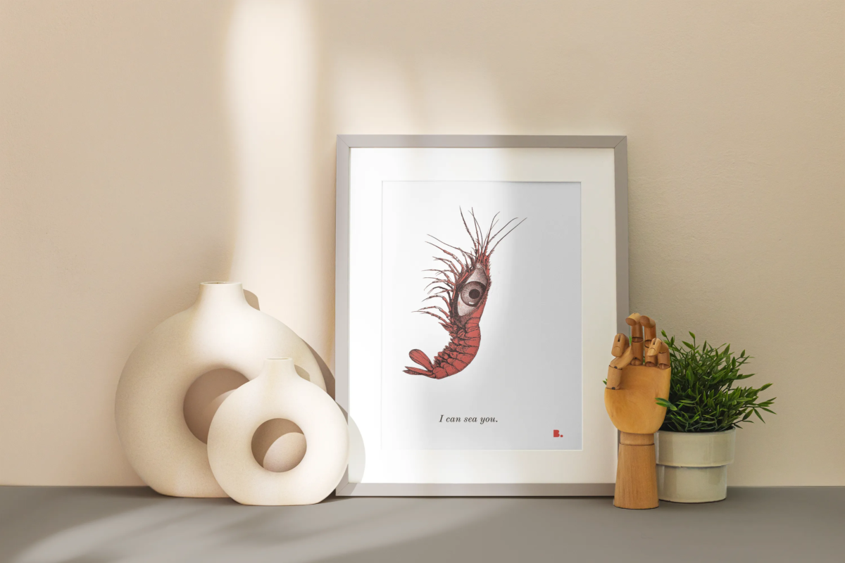 I can sea you - Face b. - Shop b.