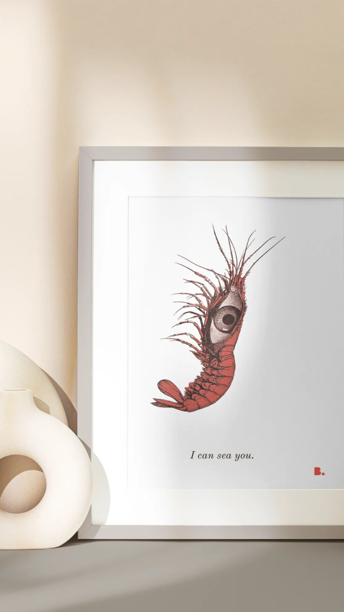 I can sea you - Face b. - Shop b.