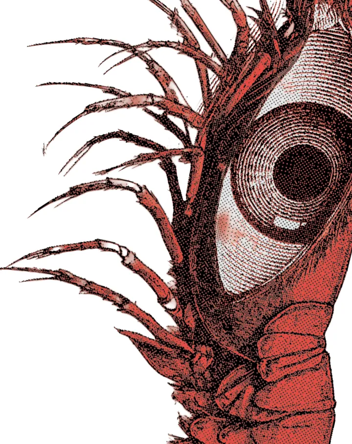 I can sea you - Face b. - Shop b.