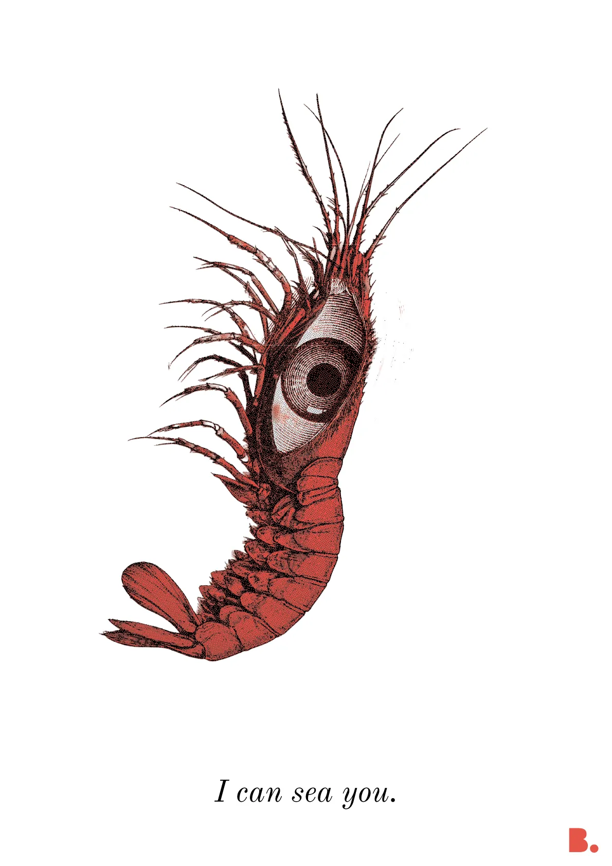 I can sea you - Face b. - Shop b.